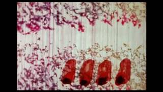 Norman McLaren  A Phantasy in Colors [upl. by Reginauld]