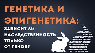 Генетика и эпигенетика зависит ли наследственность только от генов Its Okay To Be Smart [upl. by Hambley692]