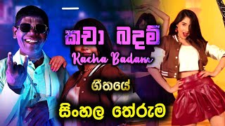 ජනප්‍රියම කචාබදම් ගීතයේ සිංහල තේරුම  Sinhala Kacha Badam Song  kacha badam tiktok hot dance 2024 [upl. by Spiers]