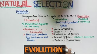 Natural selection theory  Darwin Theory  NMDCAT 2021 [upl. by Lloyd169]