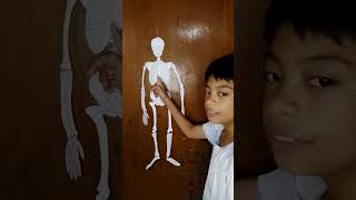 The Human Skeletal System ByLORENCE DAVE C PONPON GRADE 6 EARTH [upl. by Acinad]