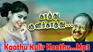 Kaathu kulir kaathu Mp3 song காத்து குளிர் காத்து  aatumanthai spbsongs tamilhitsongs [upl. by Hairabez]