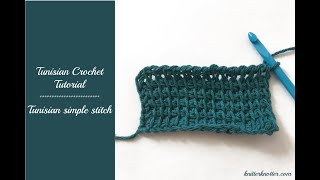 Tunisian Crochet Tutorial  How to make a Tunisian Simple Stitch  Right handed [upl. by Eserahc]