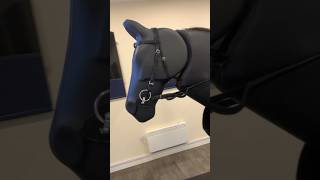 First Time Riding a Mechanical Horse dressage horserider mechanicalhorse equestrianfitness [upl. by Lindie]