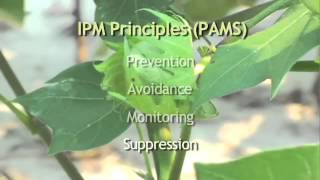 Integrated Pest Management [upl. by Aneeras]