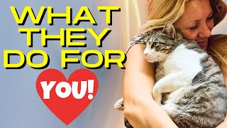 7 Things Your Cat Does for You Without You Knowing [upl. by Isac]