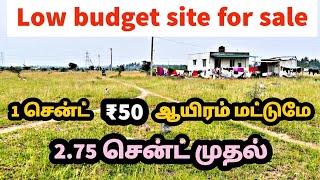 🔴 1 cent  ₹ 50 thousand 275 cents LOW BUDGET SITE FOR SALE URGENT SALE 👌👌 dont miss it👈 [upl. by Elokcin]