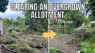 CLEARING AN OVERGROWN ALLOTMENT PLOT  ALLOTMENT GARDENING FOR BEGINNERS [upl. by Anoi]