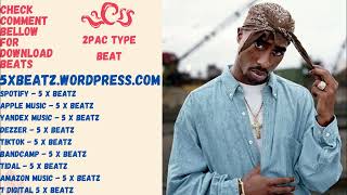 2Pac  BoomBap  Type Beat  2024 [upl. by Benisch]