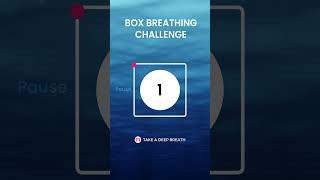 Try this Navy Seals Breath Challenge  Box Breathing Exercise [upl. by Negyam]