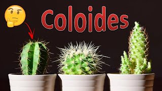 Coloides usos en medicina [upl. by Elyse444]