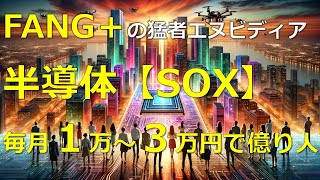 【一生一緒にSOX指数】S＆P500、NASDAQ100、FANG＋のおともに、サテライト枠の一部に、成長しかない半導体指数のSOXはいかがでしょうか？ [upl. by Hsirehc]