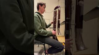 contrabassoon solo in a symphony orchestra [upl. by Akinert]