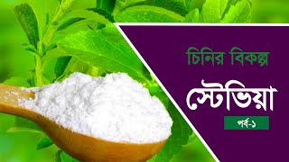 চিনির চেয়ে ১শ গুণ মিষ্টি স্টেভিয়া  Stevia Plant  Easy Garden  Sugar [upl. by Cassil]