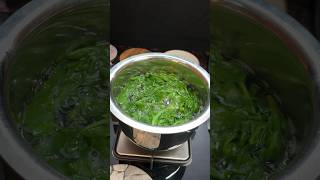 Palak Paneer Recipe 😋😋 shorts palak palakpaneer palakpaneerrecipe sabji paneerkisabji spinach [upl. by Bick548]