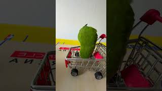 Bird Training  Smart lovebird Parrot  Smart Little Cute Parrot training smartparrot cute [upl. by Cully555]