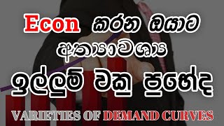 Econ කරන ඔයාට අත්‍යාවශ්‍ය ඉල්ලුම් වක්‍ර ප්‍රභේද  Varieties Of Demand Curves  Econ Sinhala Lesson [upl. by Idoux]