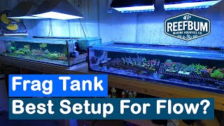 Frag Tank  Best Setup For Flow [upl. by Eiramana]