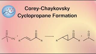 CoreyChaykovsky Cyclopropane Formation Mechanism  Organic Chemistry [upl. by Januarius163]