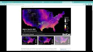 Mondays with Martha 202  Bird Migration Maps [upl. by Animehliw789]