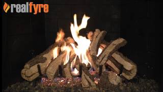 Real Fyre Western CampFyre Gas Logs Live Burn Video – eFireplaceStore [upl. by Atirahc828]