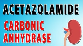 Acetazolamide Mechanism and Side Effects [upl. by Eivi]