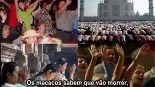 Dance Monkeys Dance Legendado [upl. by Annecorinne]