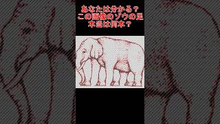 この画像のゾウの本当の足の本数分かる？ [upl. by Annairoc]