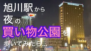 北海道旭川市駅前はクリスマス仕様…駅前から7条緑道迄 歩いてみたらｻﾑｶｯﾀ。 [upl. by Nagey]