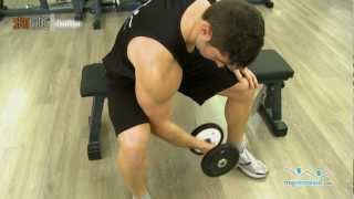 Ejercicio curl de biceps concentrado con mancuerna [upl. by Wiersma633]