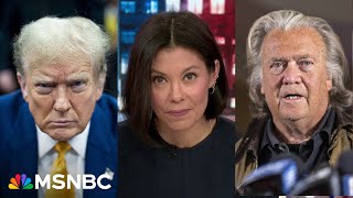 How did this happen Alex Wagner examines the MAGA themes that drew voters to Trump [upl. by Eelirak]