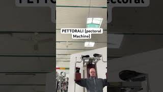 PETTORALI pectoral Machine pettorali pectoralis pectoral [upl. by Eloc]