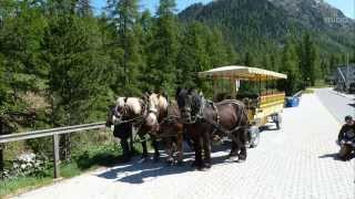 Rosegtal  Engadin  Naturpark [upl. by Ahsenot50]