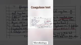 Coagulase test microbiologybiochemical testmltytshorts shortvideomicrobiologyviralshorts [upl. by Siuqcram]