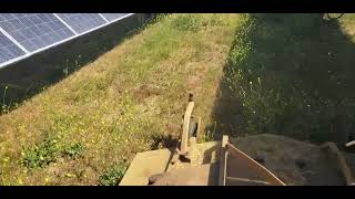 solar farm weed mowing [upl. by Filia]