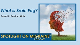 What is Brain Fog [upl. by Yddeg]