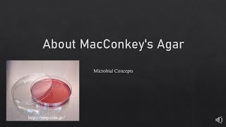 About MacConkeys Agar  FY BSc Microbiology practical series  Media basics  Biochemical tests [upl. by Roots309]