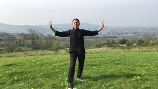 18 Tai Chi Qigong Shibashi Set 1 with Karen [upl. by Britney]