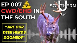 Episode 007 CWDEHD In The South [upl. by Tomasina]