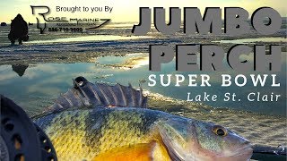 Super Bowl Jumbo Perch Ice Fishing Lake St Clair Michigan [upl. by Dorolisa]