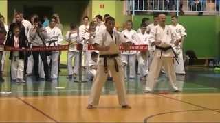 XXI Mistrzostwa Polski Oyama Karate w Kata [upl. by Tildie]