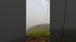 Mullayanagiri  Chikkamagalur bangalore hillstation mullayanagiripeak chikkamagaluru travelvlog [upl. by Merline]