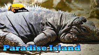 Paradise Island Decin  Eine gute Ergänzung zum Zoo  Von Nah zum Zoo 4k [upl. by Meesak]