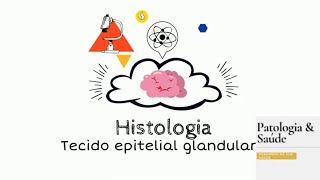 Histologia Tecido epitelial glandular [upl. by Korb23]