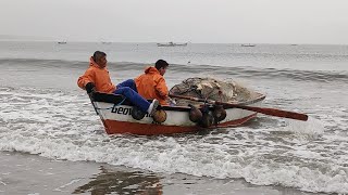 Safra da Tainha 2024 090524 Ótima pesca de Metegueli e Gabriel Cerco Praia do Siriú Garopaba [upl. by Sair]