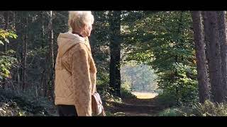 Herfstwandeling Kaapse Bossen Doorn [upl. by Kitty627]