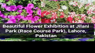 Beautiful Flower Exhibition at Jilani Park Race Course Park Lahore Pakistan [upl. by Anatsirhc156]