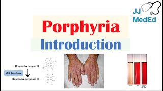 Introduction to Porphyria  Porphyria Cutanea Tarda vs Acute Intermittent Porphyria [upl. by Cassy329]