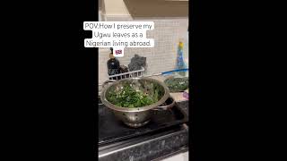 This is the best method to preserve your vegetables It remains its freshness ytshorts shortvideo [upl. by Ynohtnanhoj]