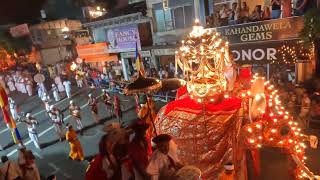 Mesmerizing Moments from Kandy Esala Perahera  A Cultural Spectacle [upl. by Parnell986]